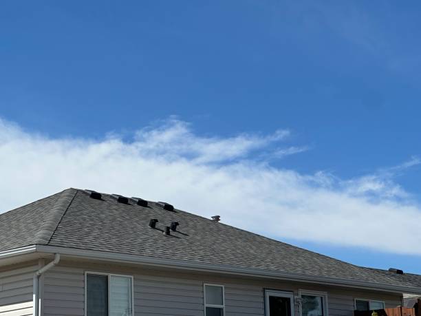 Best Commercial Roofing Services  in Augusta, WI